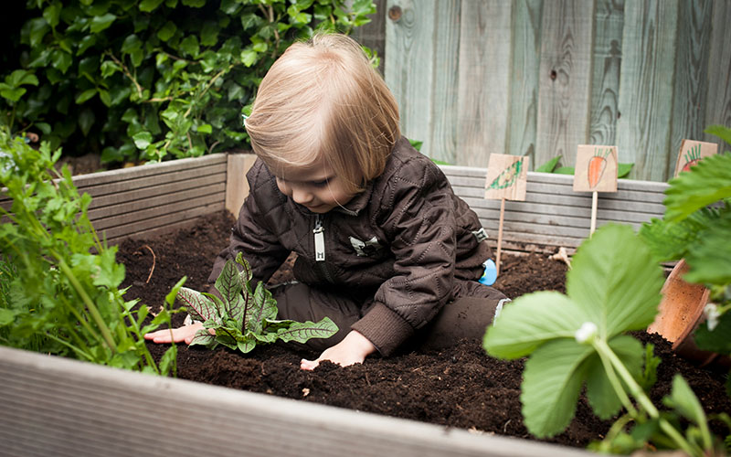 mein erster garten